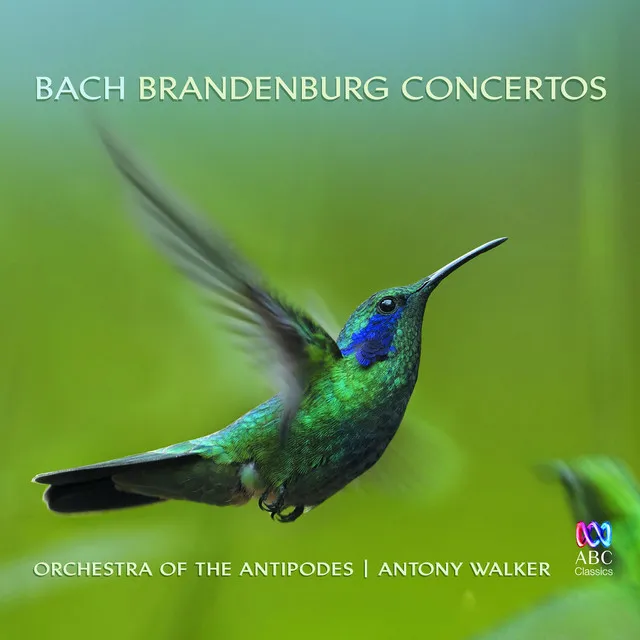 Brandenburg Concerto No. 6 in B flat, BWV 1051: 2. Adagio ma non tanto