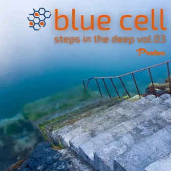 Steps in the Deep (DJ Mix) by Blue Cell