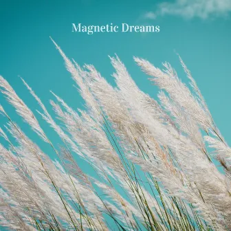 Aerial by Magnetic Dreams