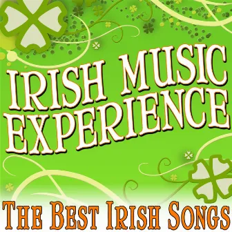 Irish Music Experience (The Best Irish Songs) by Unknown Artist