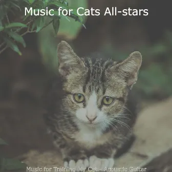 Music for Training My Cat - Acoustic Guitar by Music for Cats All-stars