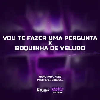 Vou Te Fazer Uma Pergunta x Boquinha De Veludo by DJ CR Original