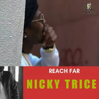 Reach Far by Nicky Trice