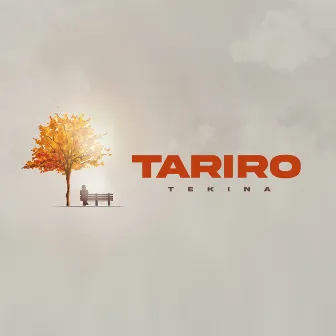 Tariro by Tekina