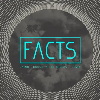 Facts (Remix) by The Miners