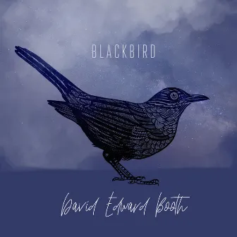 Blackbird by David Edward Booth