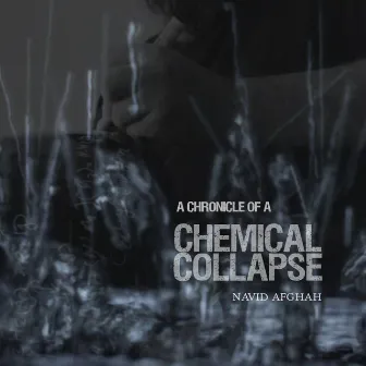 A Chronicle of a Chemical Collapse by Navid Afghah