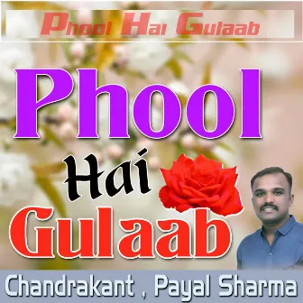 Phool Hai Gulaab by Unknown Artist