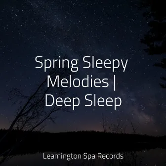 Spring Sleepy Melodies | Deep Sleep by Sounds Of Nature: Thunderstorm