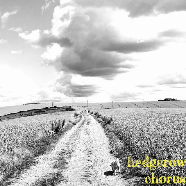 Hedgerow Chorus