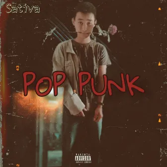 Pop Punk by Sativa