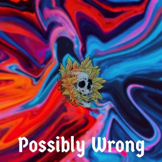 Possibly Wrong by Ajinkya Bakshi