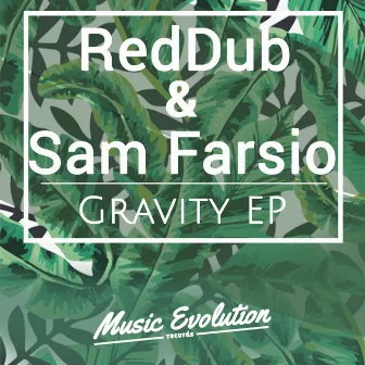 Gravity EP by RedDub