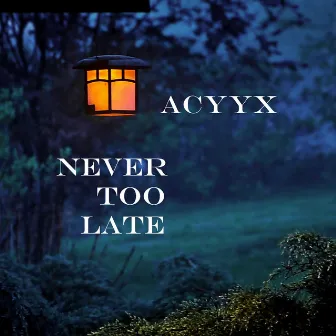 Never Too Late by Acyyx