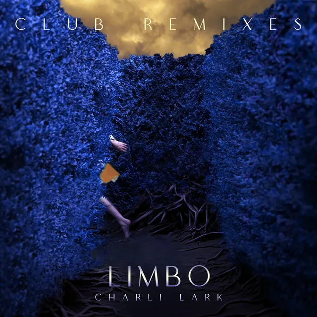 Limbo (Wilson Remix)