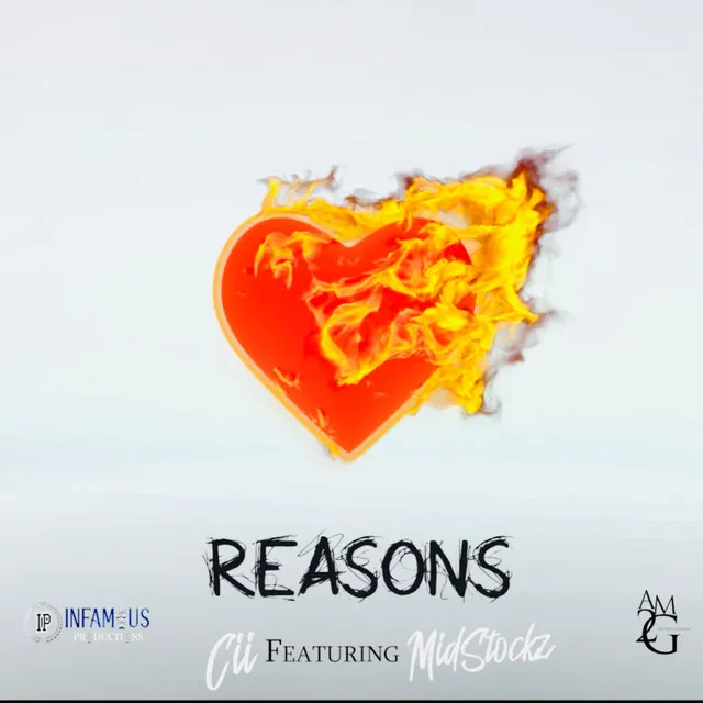 Reasons