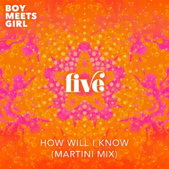 How Will I Know (Martini Mix) by Boy Meets Girl