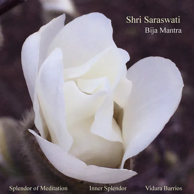 Shri Saraswati Bija Mantra