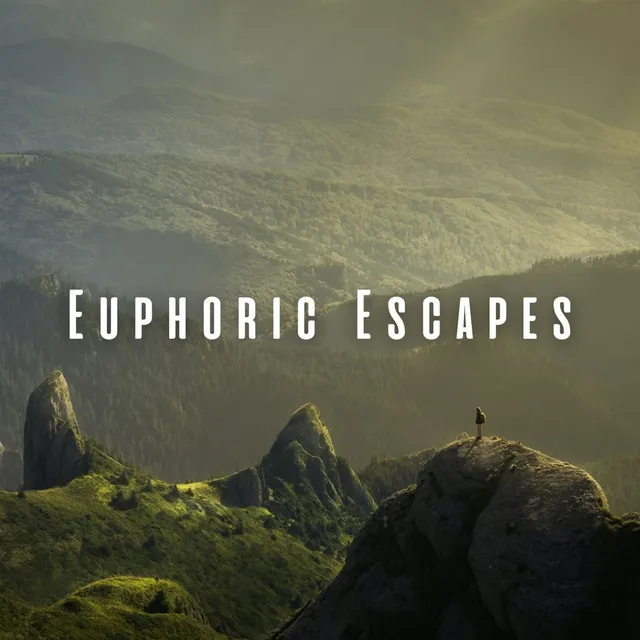 Euphoric Escapes: Chill Sounds of Nature for Relaxation