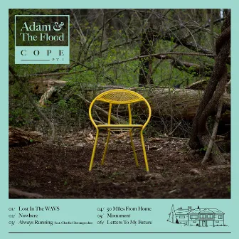 Cope, Pt. 1 by Adam and the Flood