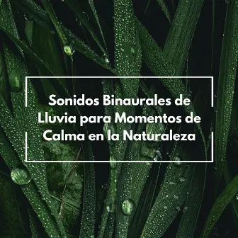 Sonidos Binaurales De Lluvia Para Momentos De Calma En La Naturaleza by Orquesta de la Naturaleza