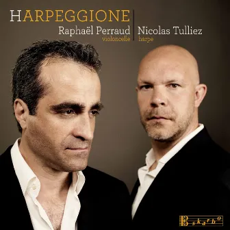 Harpeggione by Nicolas Tulliez