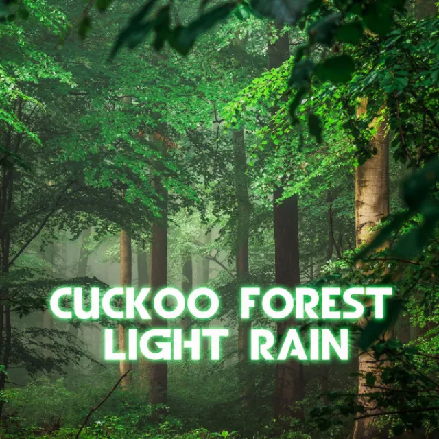 Sleep Cuckoo Forest Rain