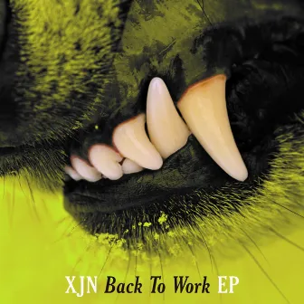 Back To Work by XJN