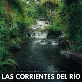 Las Corrientes Del Río: Ondas De Agua De Río Para Relajar La Mente by Ciencia del Agua