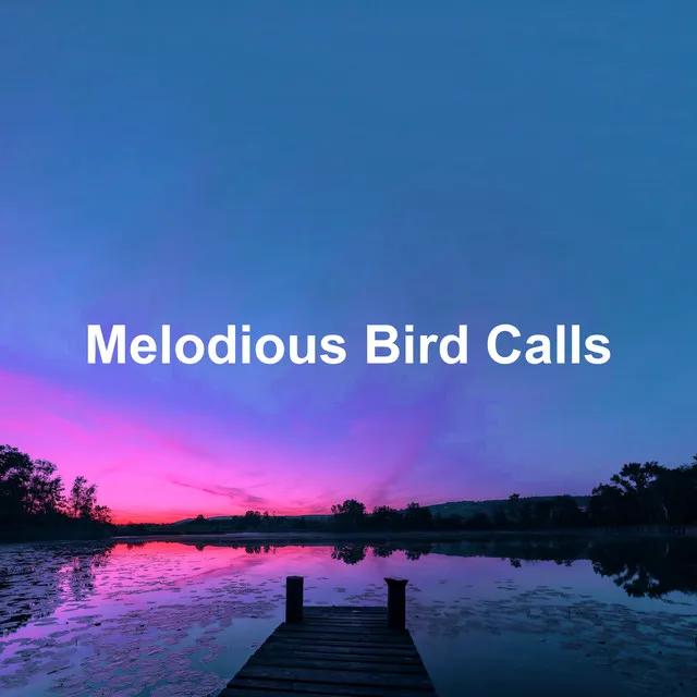 Melodious Bird Calls