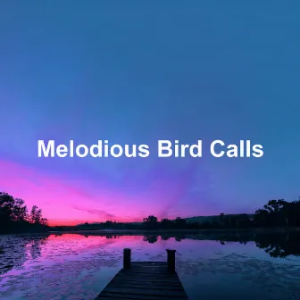 Melodious Bird Calls by HD Samples