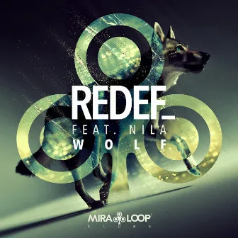 Wolf by Redef_