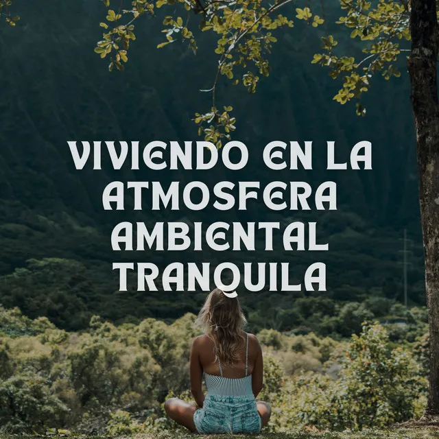 Meditación Pacífica De Chakra