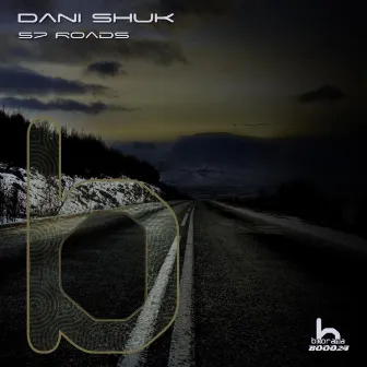 57 Roads by Dani Shuk