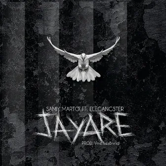 Jayare by Samy Marto