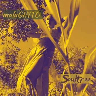 Malaginto by Soultree