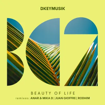 Beauty of Life by Anar & Mika D