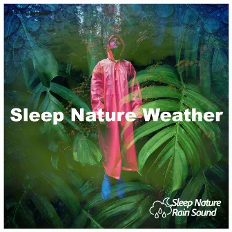 Sleep Nature Weather by Sleep Nature Rain Sound