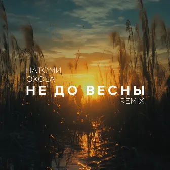 Не до весны (Remix) by НАТОМИ