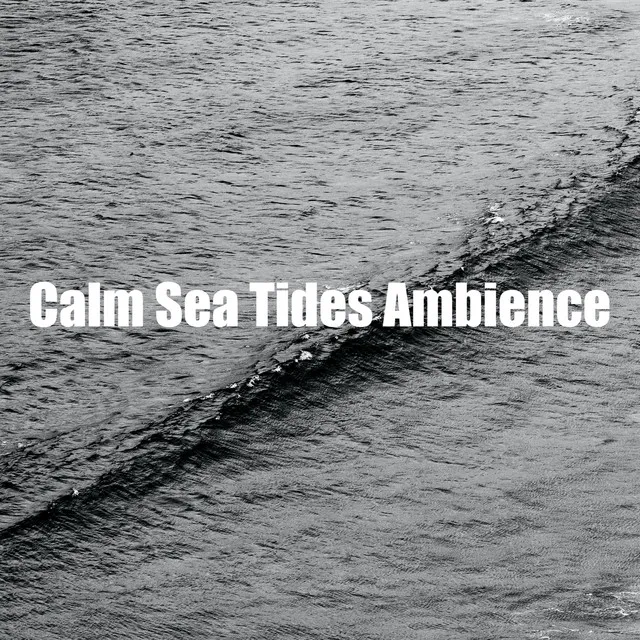 Calm Sea Tides Ambience