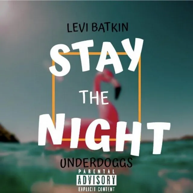 Stay the Night