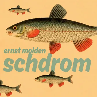 Schdrom by Ernst Molden