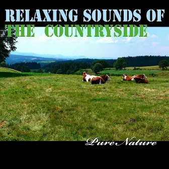 Relaxing Sounds of the Countryside by Unknown Artist