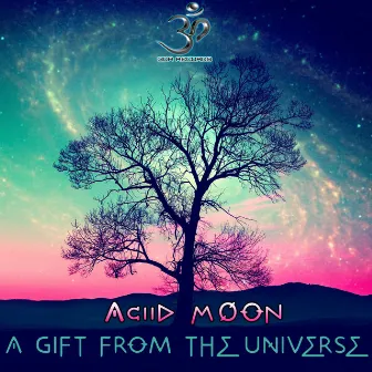 A Gift From the Universe by AciiD MooN