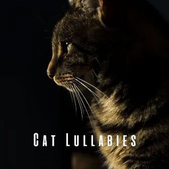 Cat Lullabies: Melodies for Lofi Whiskered Souls by Catching Sleep