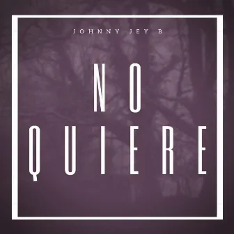 No Quiere by Johnny Jey B