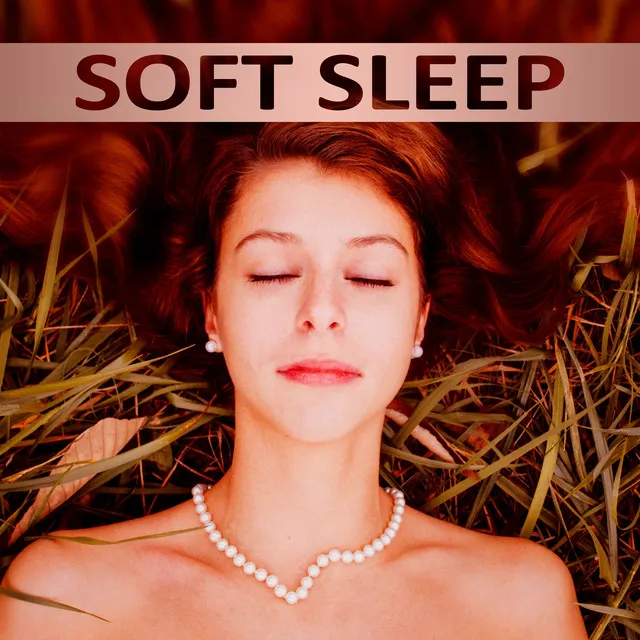 Soft Sleep - Stress Relief, Therapy Music, Nature Sounds, Gentle Sleep, Harmony, Relaxation, Peaceful Dream