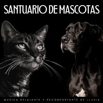 Santuario De Mascotas: Música Relajante Y Reconfortante De Lluvia by Perros y gatos felices