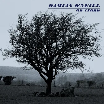 an crann by Damian O'Neill