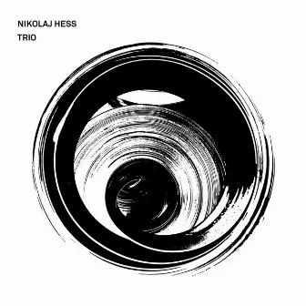 Nikolaj Hess Trio by Kenny Wollesen